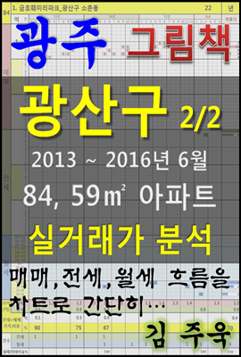 광주 광산구 2/2 84,59㎡ 아파트 매매, 전세, 월세 실거래가 분석 (2013 ~ 2016.6월)