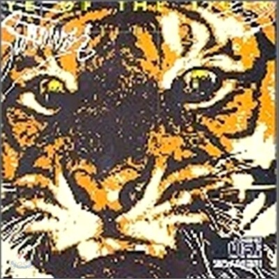Survivor - Eye Of The Tiger