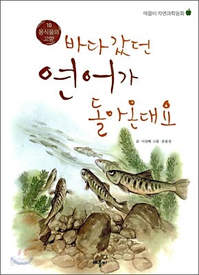 바다갔던 연어가 돌아온대요
