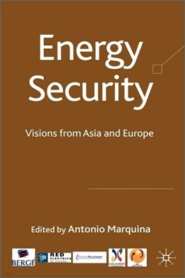 Energy Security: Visions from Asia and Europe