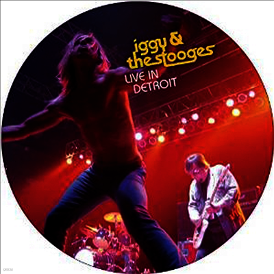 Iggy & The Stooges — Live In Detroit 앨범 커버