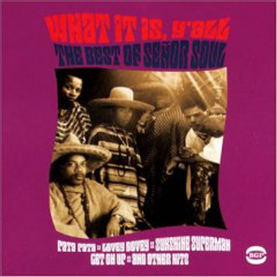 Senor Soul - What It Is Y'All: The Best of (CD)