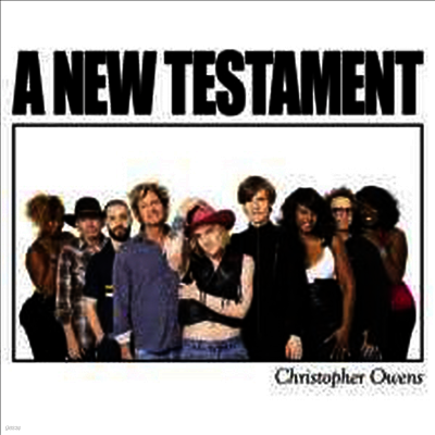 Christopher Owens — A New Testament (Gatefold Sleeve) 앨범 커버