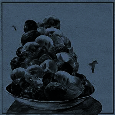 Hop Along - Painted Shut (LP)