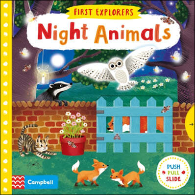 Night Animals