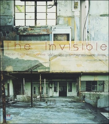 Peter Epstein (피터 엡스타인) - The Invisible