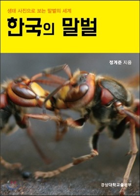한국의 말벌