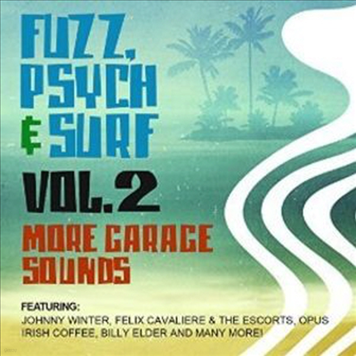 Various Artists - Fuzz, Psych & Surf, Vol. 2 - More Garage Sounds (CD-R)