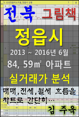전북 정읍시 84, 59㎡ 아파트 매매, 전세, 월세 실거래가 분석 (2013 ~ 2016.6월)