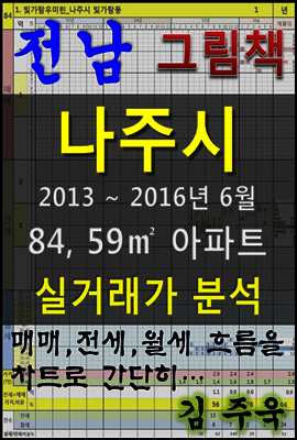 전남 나주시 84, 59㎡ 아파트 매매, 전세, 월세 실거래가 분석 (2013 ~ 2016.6월)