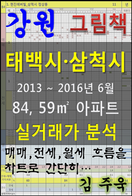 강원 태백시 삼척시 84,59㎡ 아파트 매매, 전세, 월세 실거래가 분석 (2013 ~ 2016.6월)