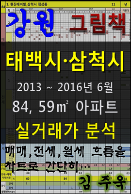 강원 태백시 삼척시 84,59㎡ 아파트 매매, 전세, 월세 실거래가 분석 (2013 ~ 2016.6월)