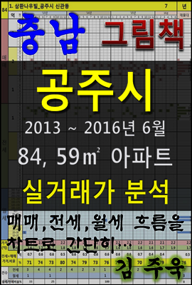 충남 공주시 84, 59㎡ 아파트 매매, 전세, 월세 실거래가 분석 (2013 ~ 2016.6월)