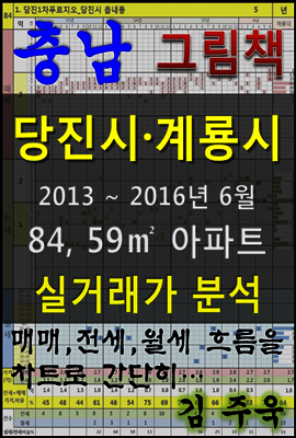 충남 당진시, 계룡시 84, 59㎡ 아파트 매매, 전세, 월세 실거래가 분석 (2013 ~ 2016.6월)