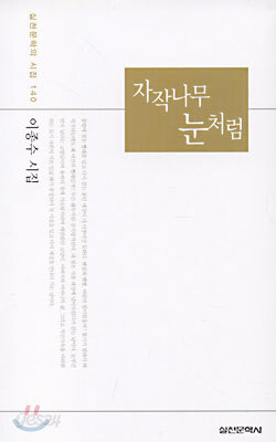 자작나무 눈처럼