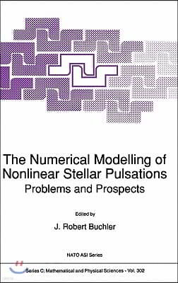 The Numerical Modelling of Nonlinear Stellar Pulsations: Problems and Prospects