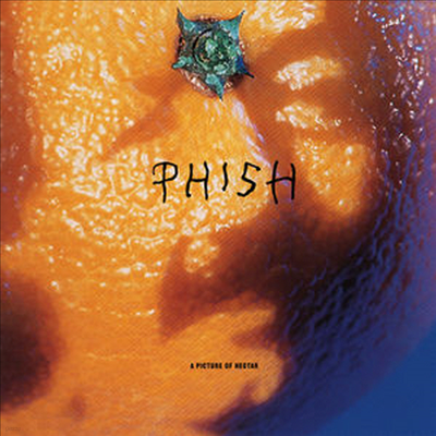 Phish — Picture Of Nectar (Download Card)(Deluxe Edition) 앨범 커버
