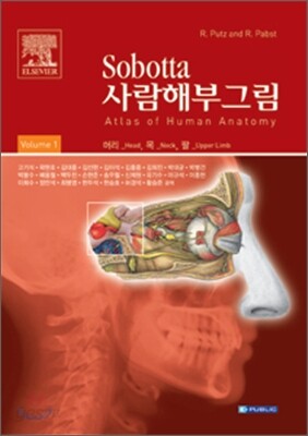 Sobotta 사람해부학