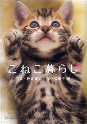 こねこ暮らし