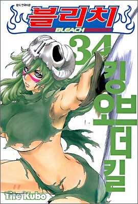 블리치 BLEACH 34