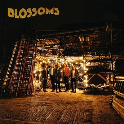 Blossoms — Blossoms 앨범 커버