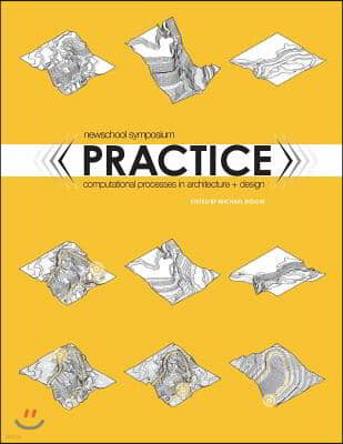 Practice: Computational Processes in Architecture and Design