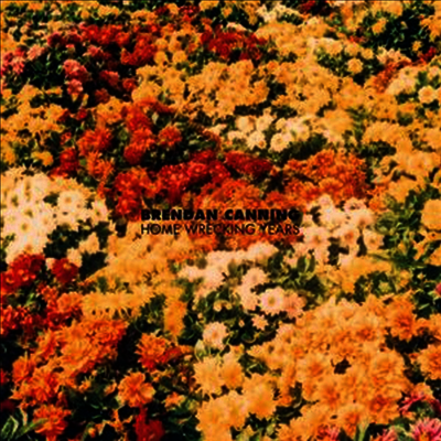 Brendan Canning — Home Wrecking Years 앨범 커버