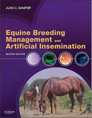 Equine Breeding Management and Artificial Insemination