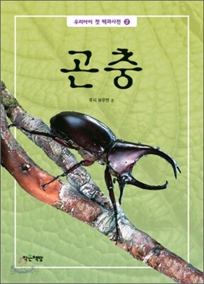 곤충