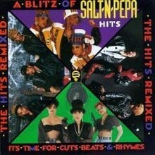Salt-N-Pepa - A Blitz of Salt-N-Pepa Hits: The Hits Remixed ()