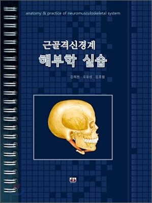 근골격신경계 해부학실습