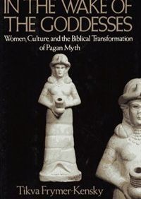 [ ] In The Wake of the Goddesses: Women, Culture, and the Biblical Transformation of Pagan Myth (Hardcover) (1992)