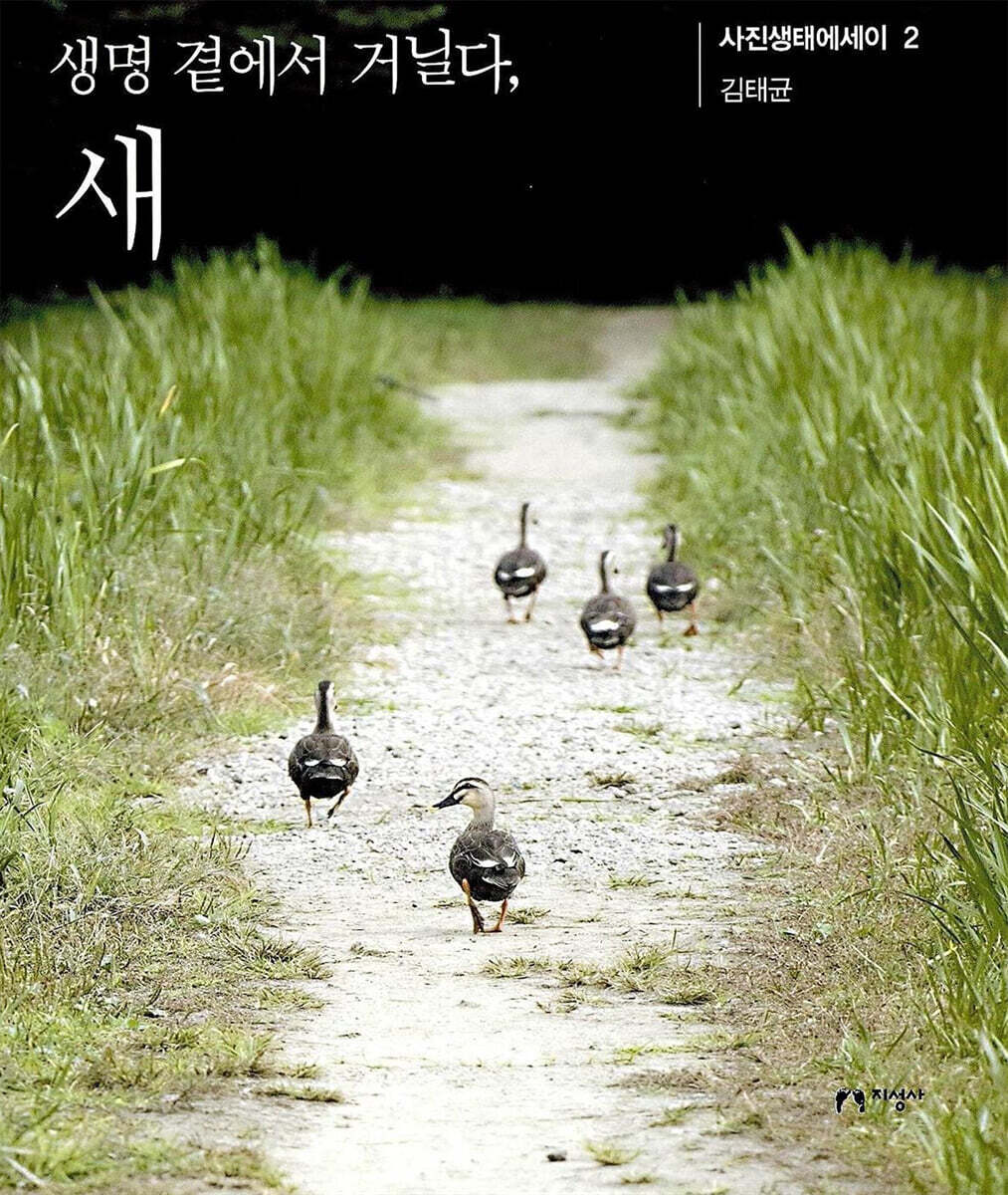 생명 곁에서 거닐다, 새