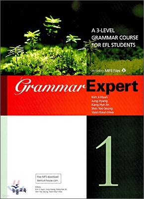 Grammar Expert 1