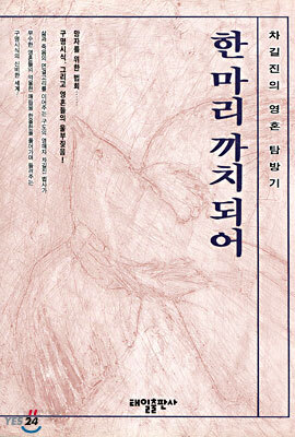 한마리 까치되어