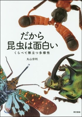 だから昆蟲は面白い くらべて際立つ多樣性