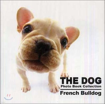 THE DOG Photo Book Collection French Bulldog