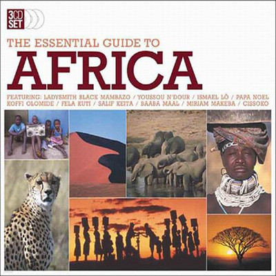 The Essential Guide To Africa