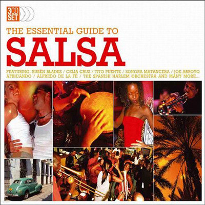 The Essential Guide To Salsa