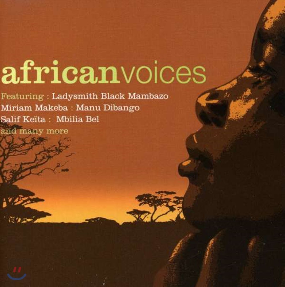 African Voices
