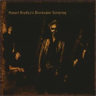 Robert Bradley - New Ground