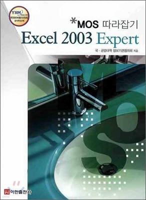 MOS 따라잡기 Excel 2003 Expert