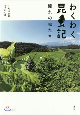 わくわく昆蟲記 憧れの蟲たち