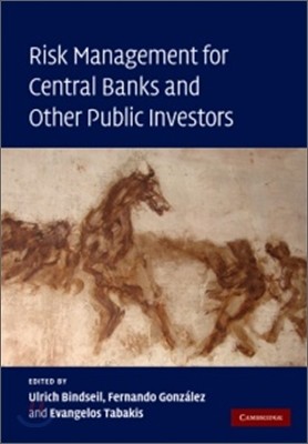 Risk Management for Central Banks and Other Public Investors