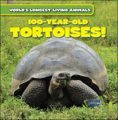 100-Year-Old Tortoises