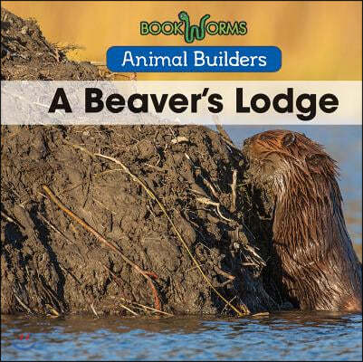 A Beaver's Lodge