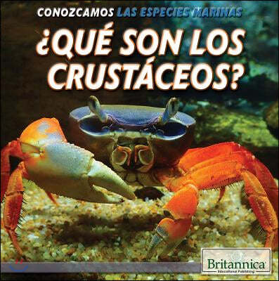 ¿Que Son Los Crustaceos? (What Are Crustaceans?)