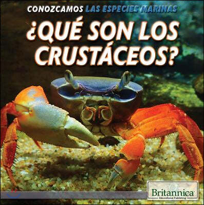 ¿Que Son Los Crustaceos? (What Are Crustaceans?)