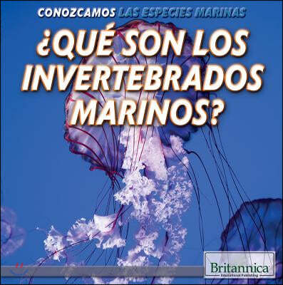 ¿Que Son Los Invertebrados Marinos? (What Are Sea Invertebrates?)