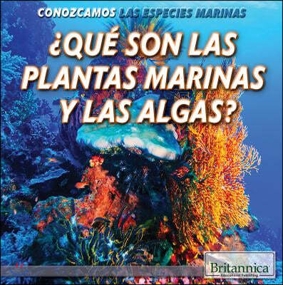 ¿Que Son Las Plantas Marinas Y Las Algas? (What Are Sea Plants and Algae?)